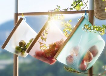 Save the Earth by Using the DeliOne Bamboo Seal- Sustainable Food Bag