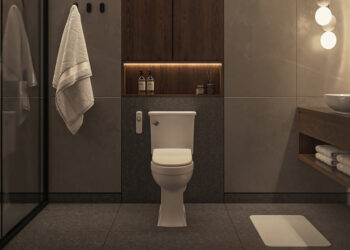 Nebia Bidets: cleaning, comfort, and health are with washing