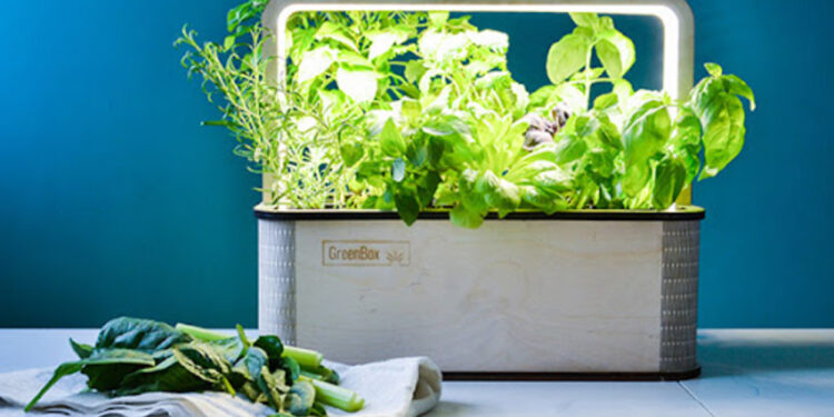 The Green Box: A Contemporary Smart Indoor Garden