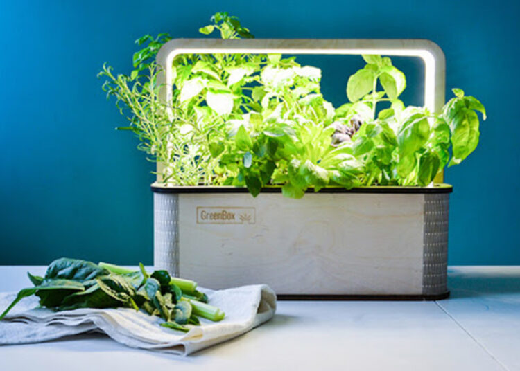 The Green Box: A Contemporary Smart Indoor Garden