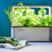 The Green Box: A Contemporary Smart Indoor Garden
