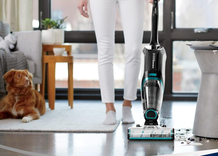 7 Best Carpet Cleaners to Buy Now